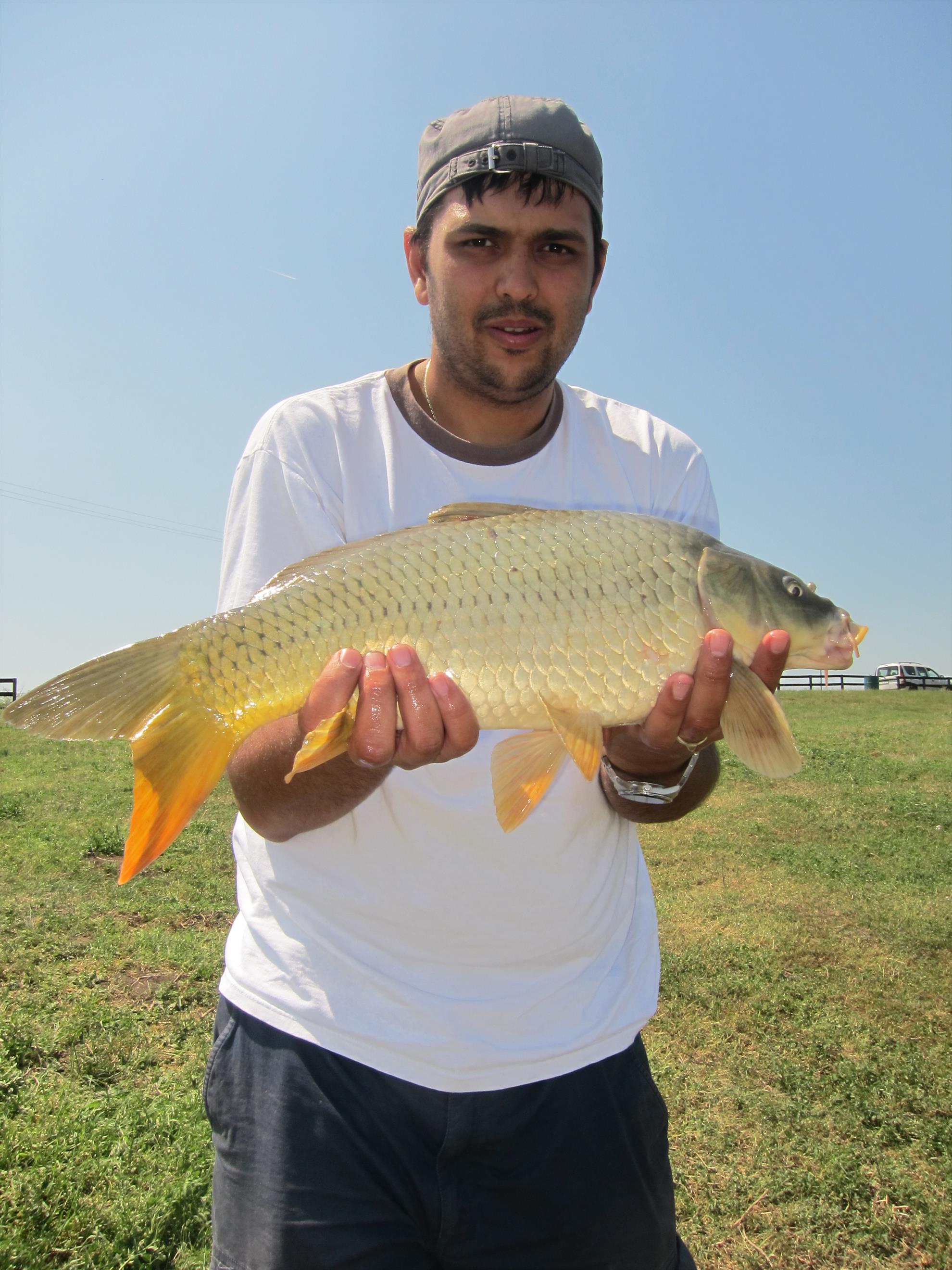 Solacolu - mai 2012 - img2380.JPG